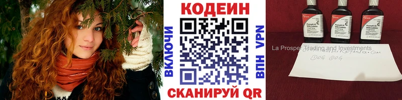 Купить закладки  Райчихинск  Codein напиток Lean (лин) 