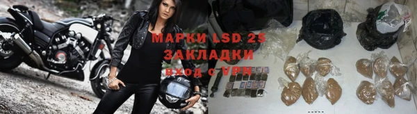 сатива Магадан