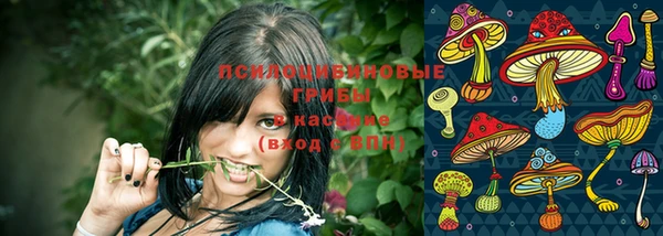 МДМА Лихославль