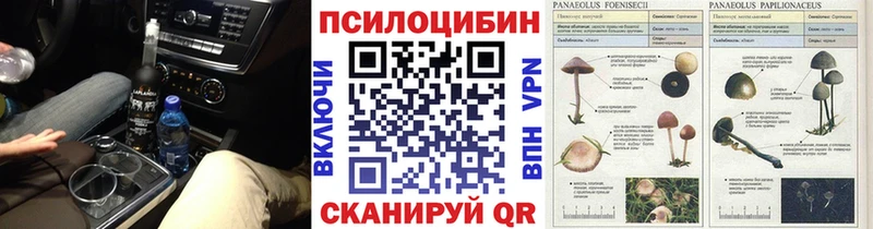 Купить где  Райчихинск  Псилоцибиновые грибы Cubensis 